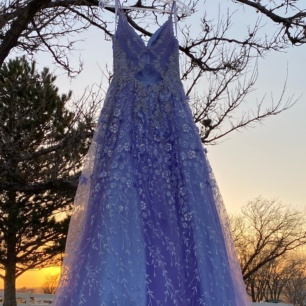 Elegant Ballgown